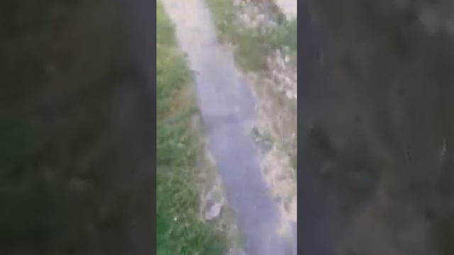 Ржач, прикол. Художник