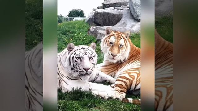 Рубрика Юный натуралист