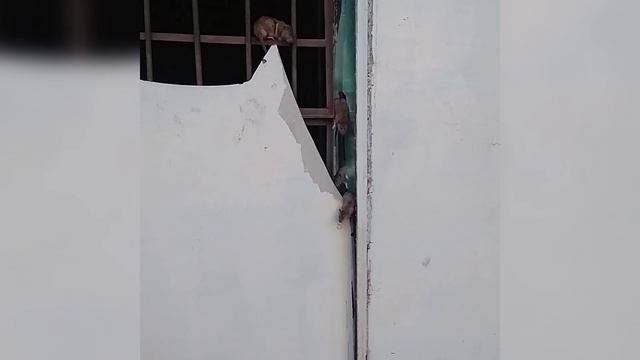 Жители города