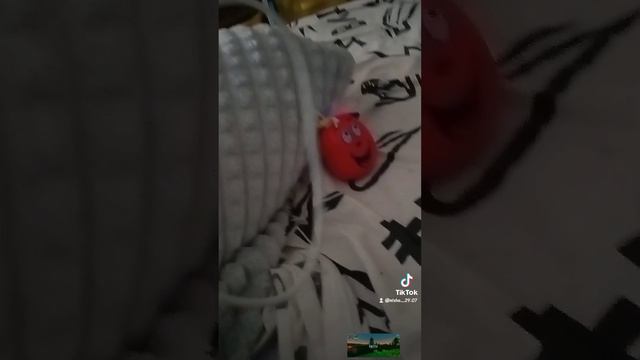 капитошку повесили