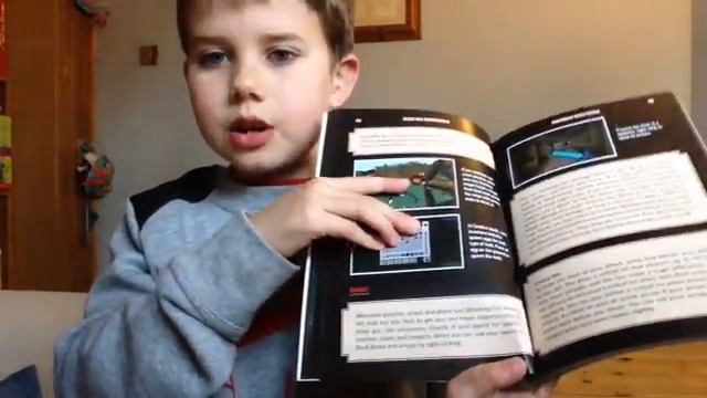 Minecraft book 2