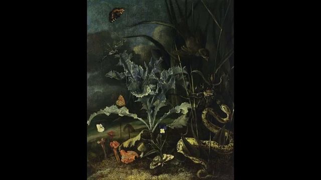 Pietro Antonio Locatelli - Sonata in E- Flat Major, Op. 6, No. 11