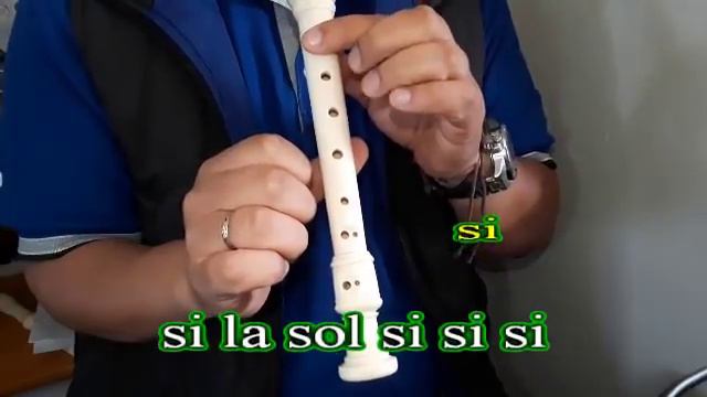 Ed Sheeran - Perfect (COVER FLAUTA CON NOTAS)