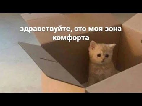 Принципы моих обзоров на корма. Почему одних хвалю, других ругаю?