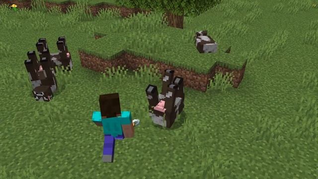 3 СЕКРЕТНЫХ НАЗВАНИЯ БИРОК В MINECRAFT!!!!