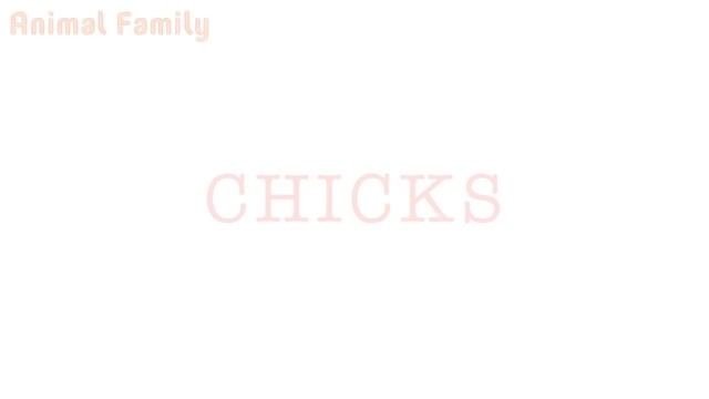Animal Sounds for Children 20 Amazing Animals