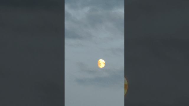 Zunehmender Mond #berlin #2024 #sommer #moon #mond 🌒 #nacht #atmosphere #spaß