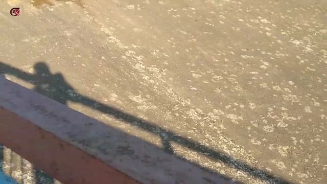 Технический пруд, грязь в стоячей воде, все ловят рыбу