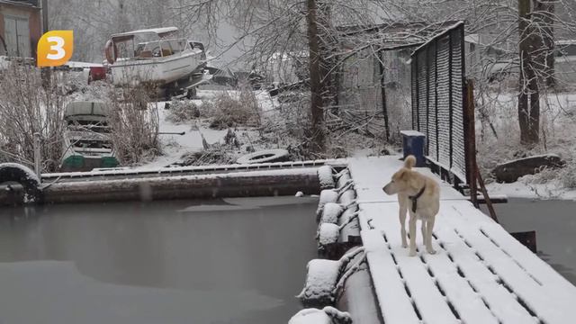 Внимание опасность! Тонкий лёд Белоярского водохранилища