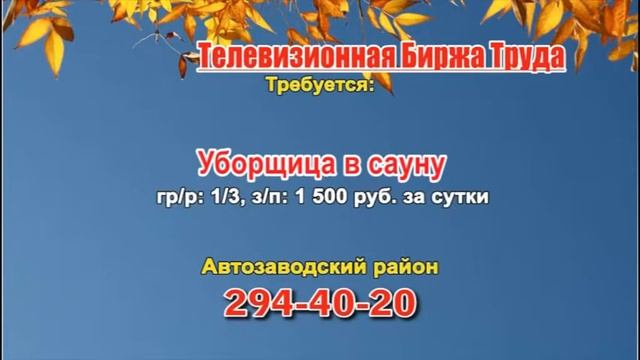 11 ноября_13.15_Работа в Нижнем Новгороде_Телевизионная Биржа Труда