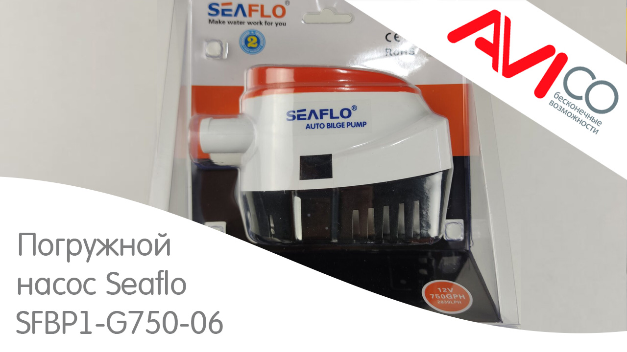 Погружной насос Seaflo SFBP1-G750-06