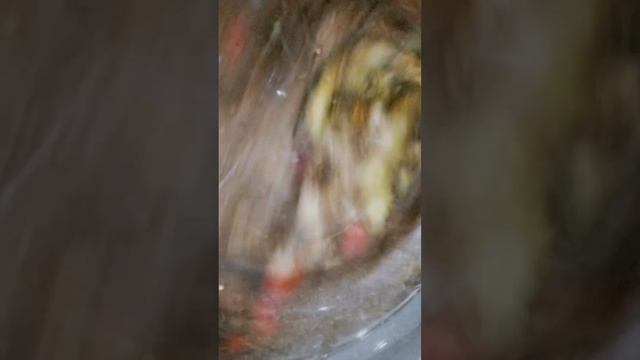 стиральная машина dexp течёт
