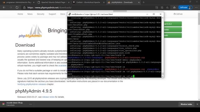 Como instalar la plataforma Moodle en Server Ubuntu/Debian - 2021