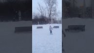 Танец на льду