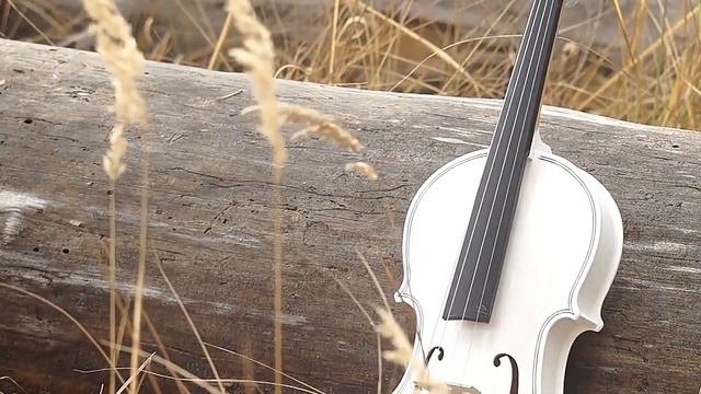 13 Minutes of Serenity Violin