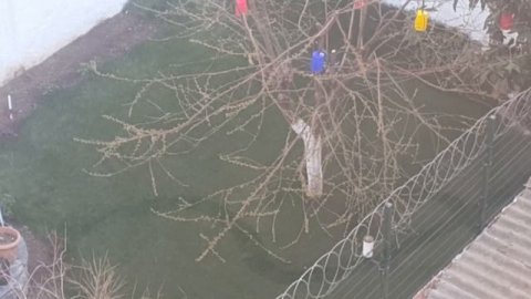 Karacaoğlan- Var Git Ölüm