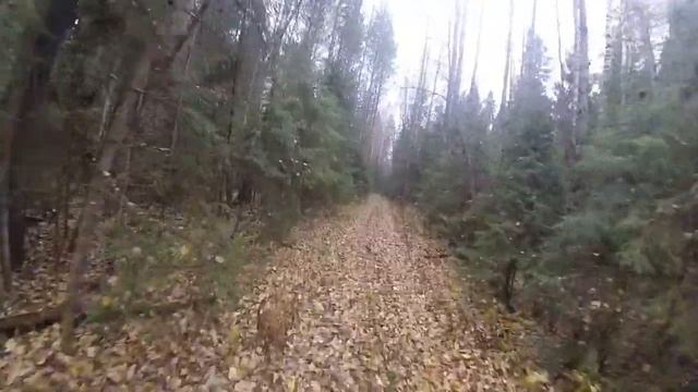 Погоняли и посмотрели, но не взяли!