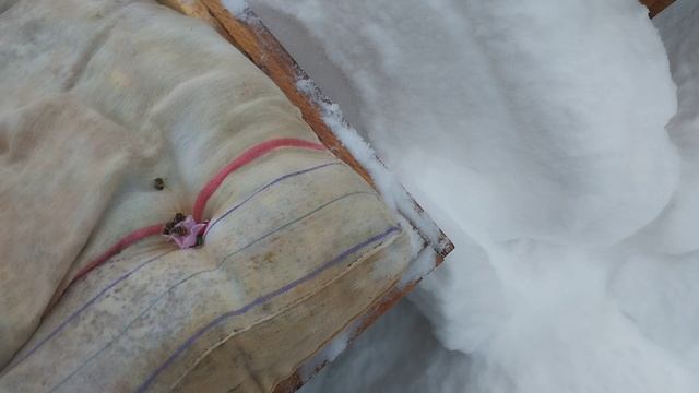 Зимовка на улице Шатура