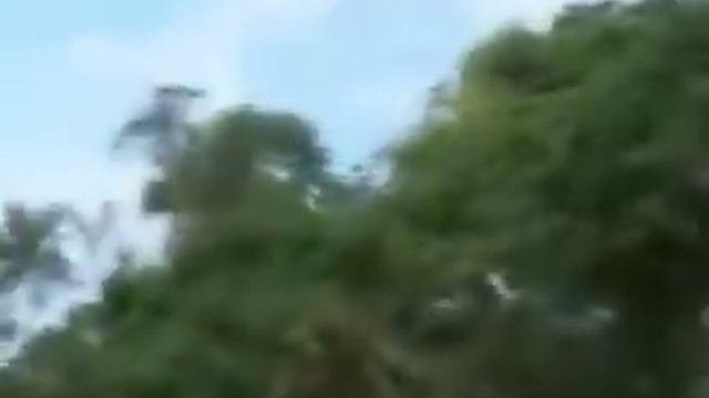 Uganda Film.mp4
