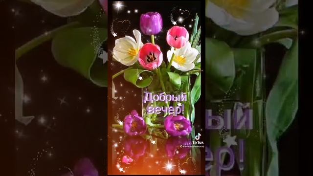 доброго вечера