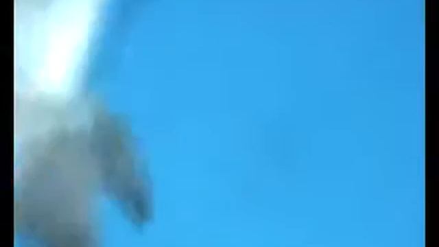 makram with dolphin in open red sea  الدولفين