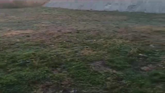 Богатырь-Начинаем с понедельника.