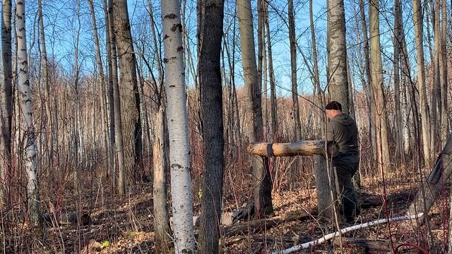 Солонец для Лосей. Ремонт, закладка соли