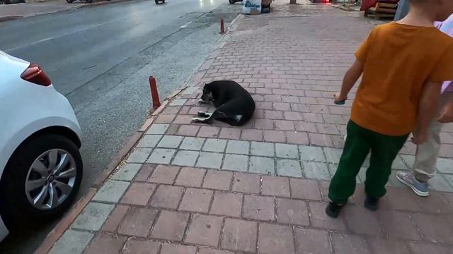 Жизнь без спешки в Турции /Взаимная любовь ?