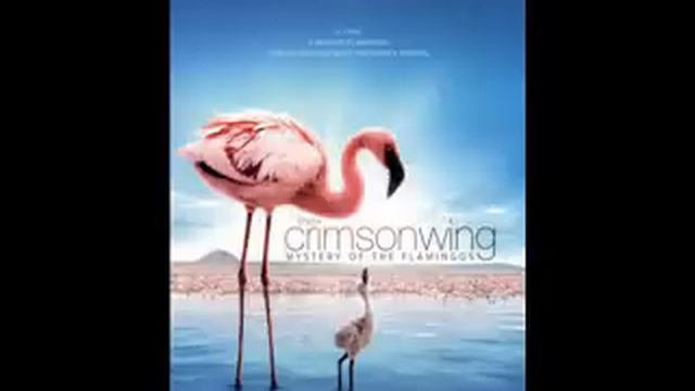 The Cinematic Orchestra Crimson skies feat. Lou Rhodes