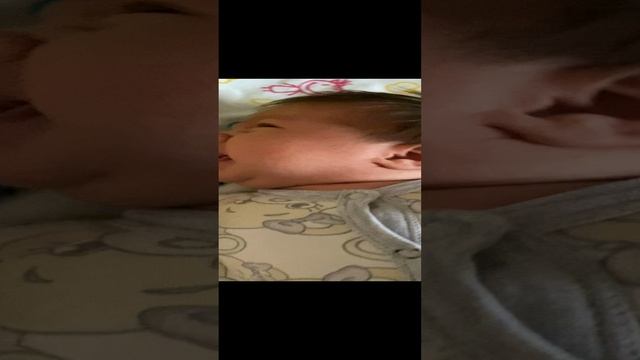 Муся хочет кушать