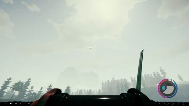 HELICOPTER, HELICOPTER | THE FOREST