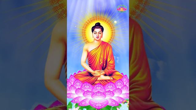 Phật Dạy: Trời Sinh Ra Vốn PHÚ QUÝ, Vì Mắc Tội Này Mà Bao PHÚC BÁO Mất Hết, Cả Đời Nghèo Hèn #short