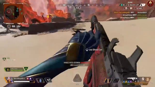 short apex ft pollito ibañez