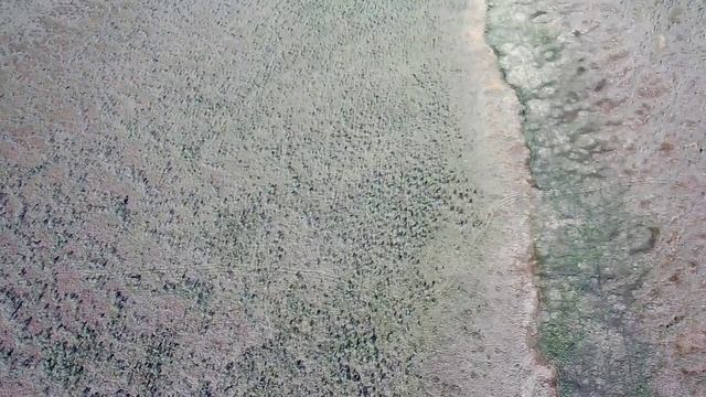 с высоты птичьего полёта