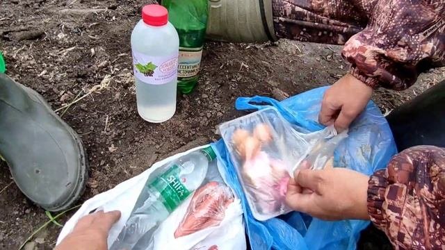 Орехи увозим МЕШКАМИ из леса. Обед в лесу.