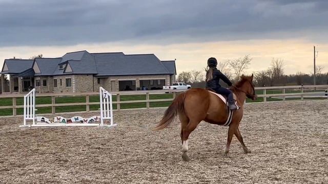 Ginger throws some SASS during our schooling ride!