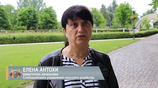 Сезон амброзии