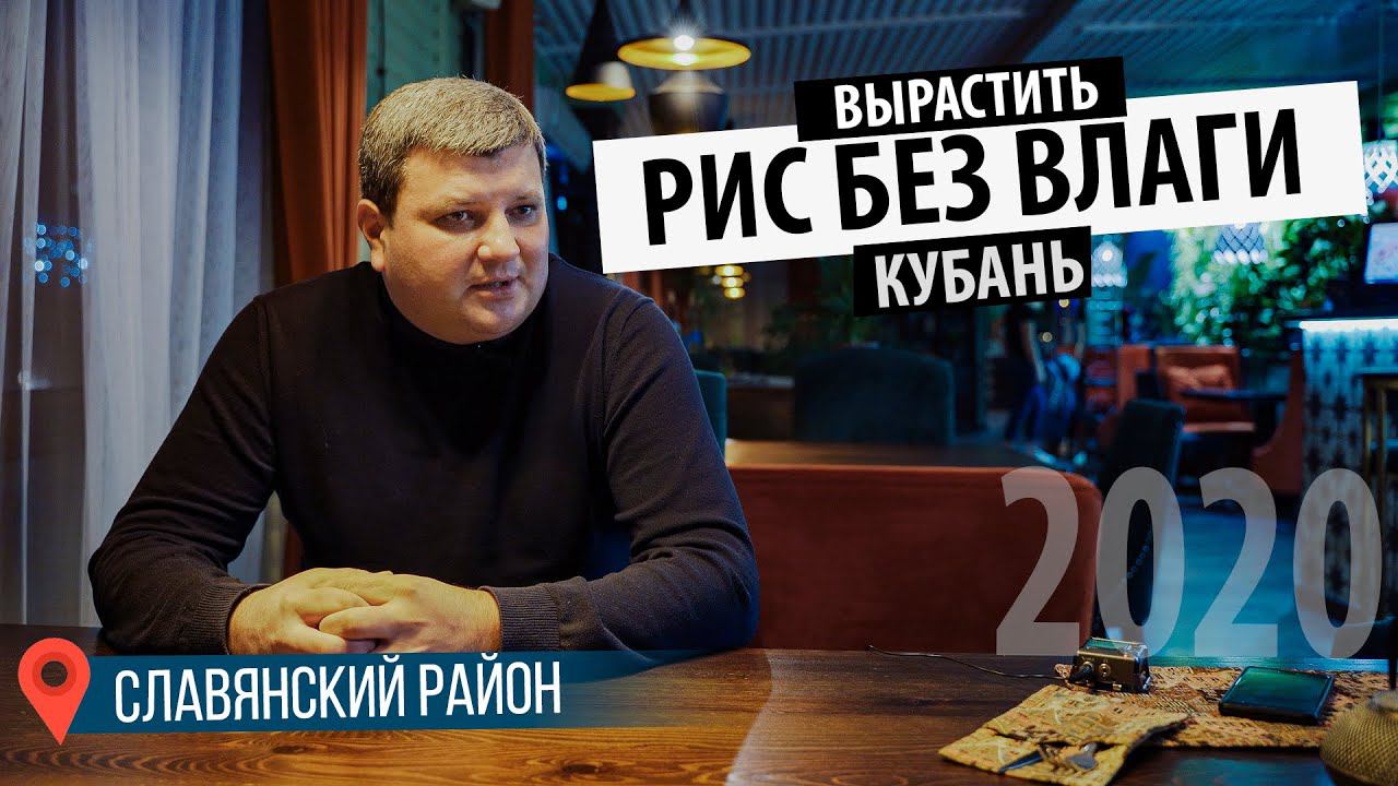 Как вырастить рис без влаги на Кубани. Монолог фермера