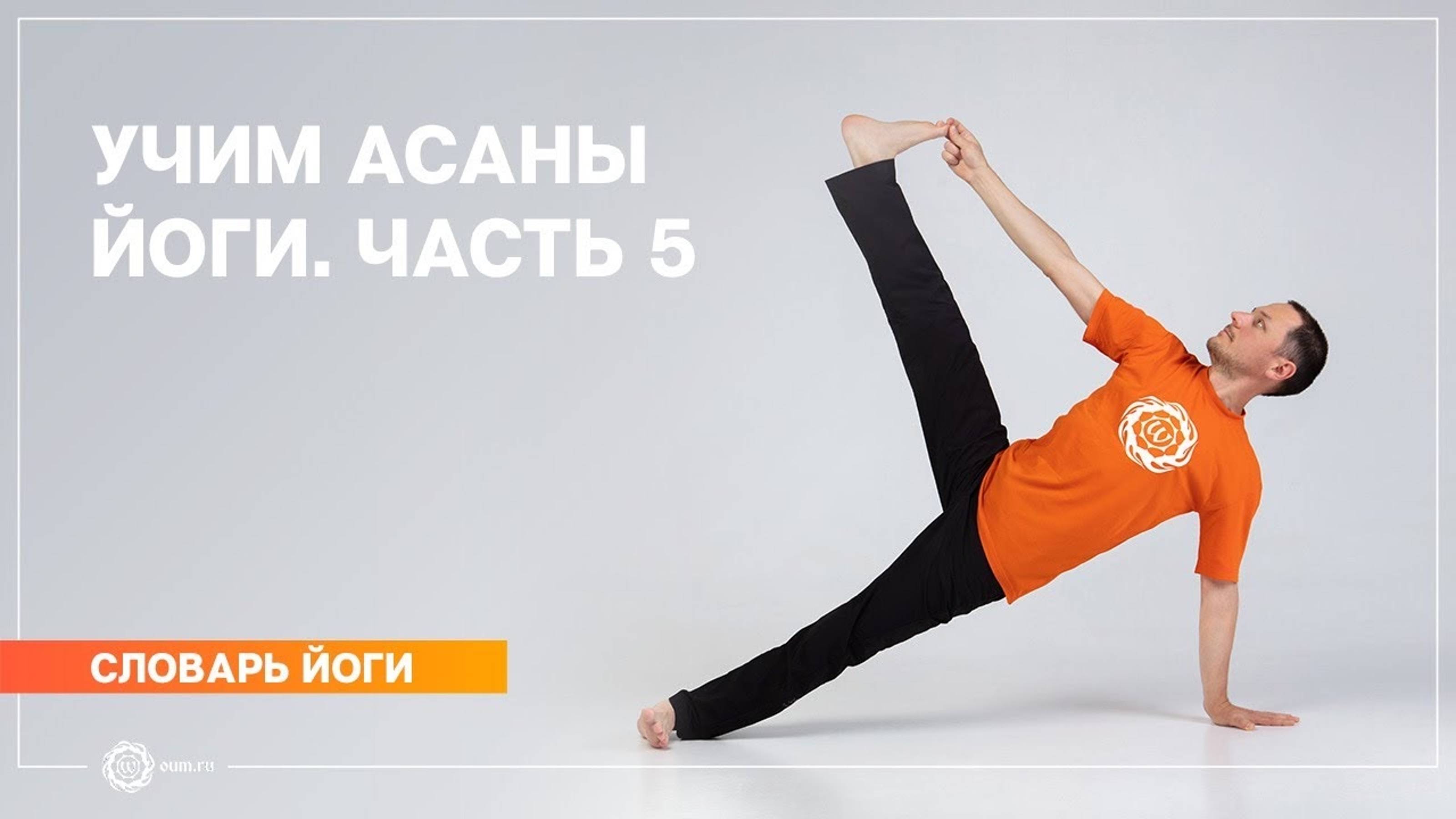 Учим асаны йоги. Часть 5