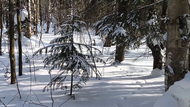 25 февраля 2023 г.