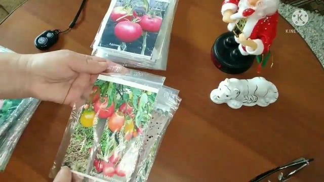Томаты для теплицы, на которых я остановилась! Сезон -  2022. Часть 1.
