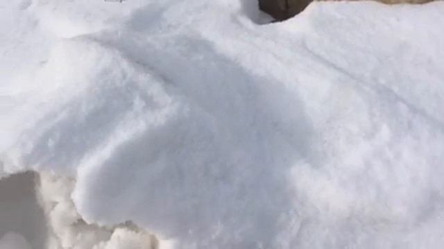 Колбаски остыли...
