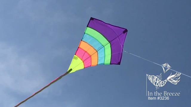 Neon Arch 27" Diamond Kite - In the Breeze