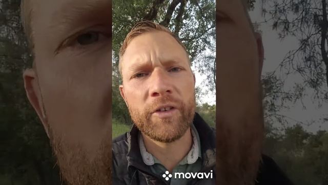 Иметь сон или видение не является доказательством того, что ты слышишь Голос Божий.