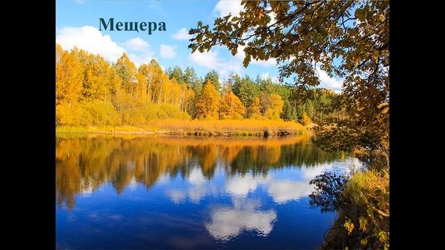 Виртуальный журнал 