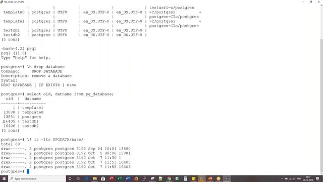 PostgreSQL Drop Database