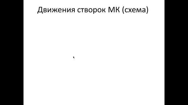 Основы эхокардиографии. Измерения в М-режиме.