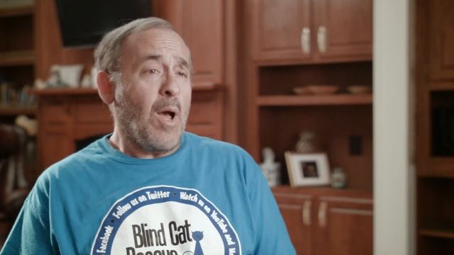 Blind Cat Rescue