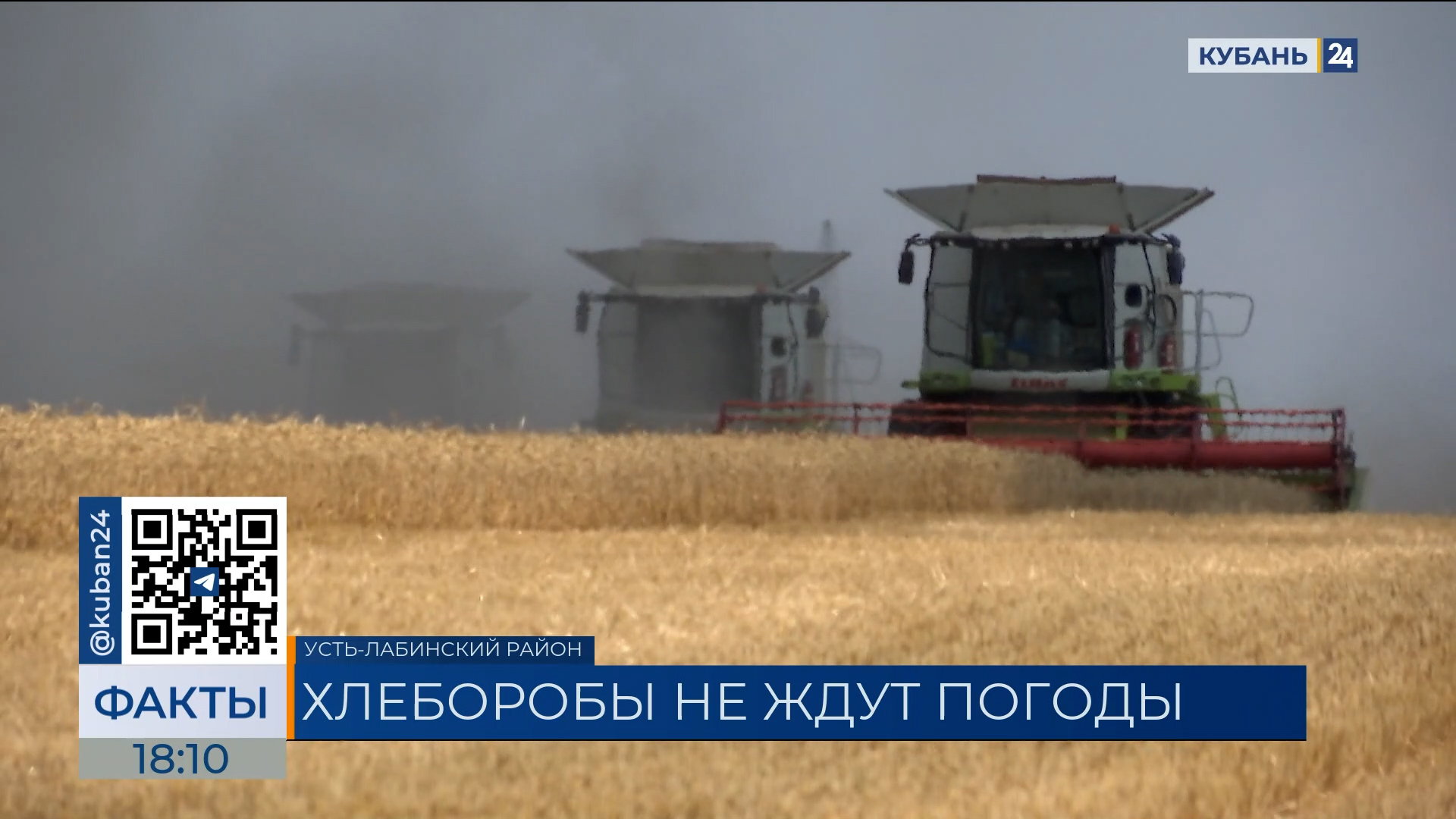 В Усть-Лабинске приступили к уборке зерна на две недели раньше сроков