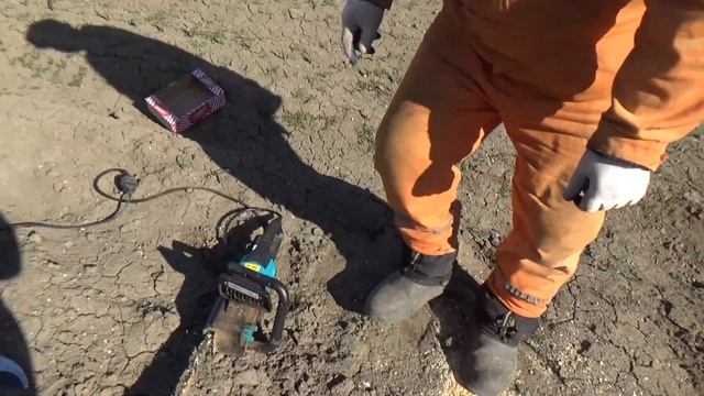 Обрезайте деревья в правильное время